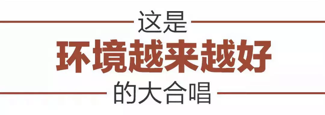 进博大合唱,习近平邀你来看看(图4)